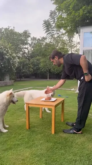 M S Dhoni reel: Thanks a lot for all your warm wishes, a glimpse of what I did on my birthday.