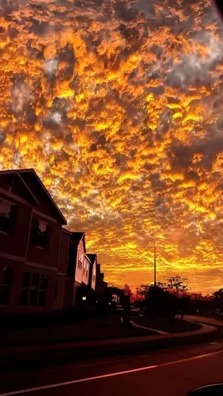 jiangzhibin24 reel: sunset