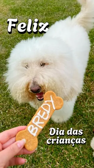 bredypett reel: Ser criança humana ou de quatro patas é viver com o coração leve, curiosidade no