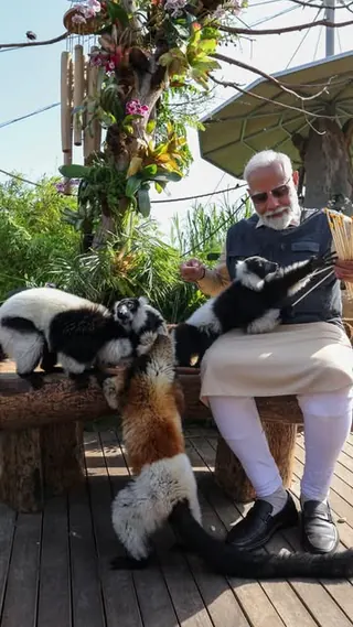 Narendra Modi reel: An effort like Vantara is truly commendable, a vibrant example of our centuries 