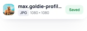 Saved file max.goldie-profile-picture.jpg, 1080 × 1080