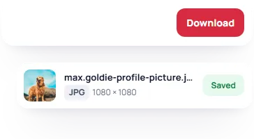 The username max.goldie typed with Download pressed, then max.goldie-profile-picture.jpg saved at 1080 × 1080