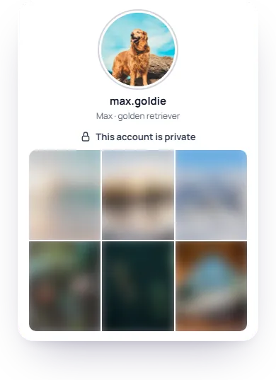 A private Instagram account: the profile picture is visible, the posts below are locked
